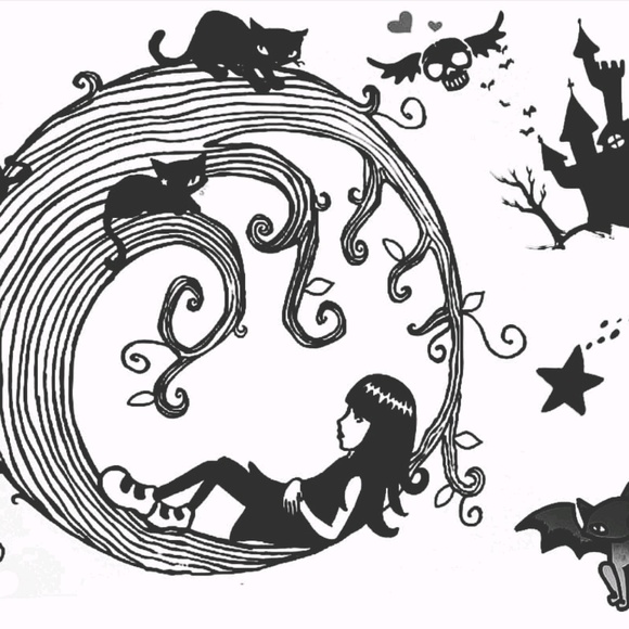 Meet your Posher, Nancy - Picture 1 of 1